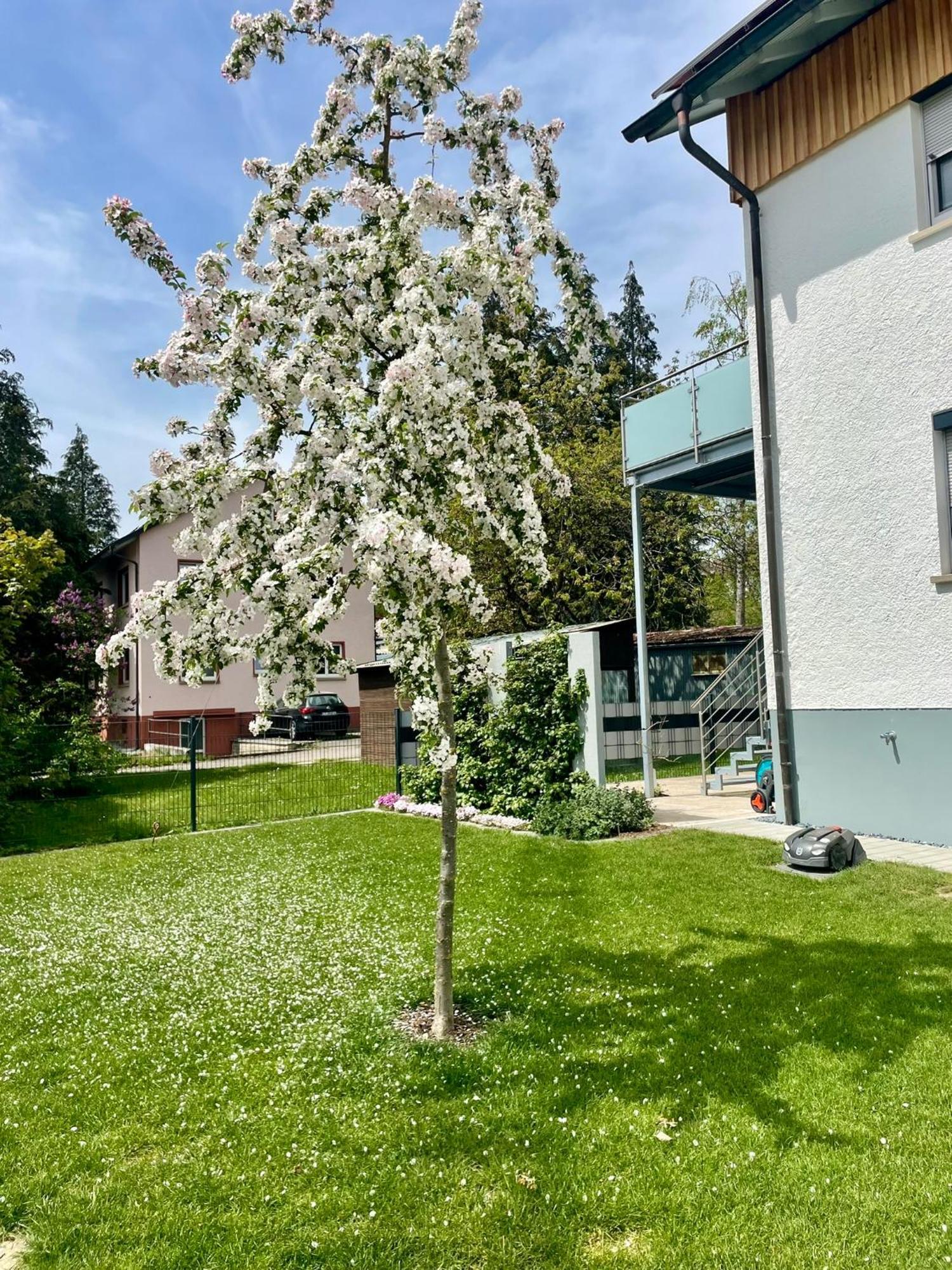 Anitas Ferienwohnung Messkirch Dış mekan fotoğraf